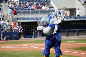 Rays host Twins for spring baseball under Tropicana Field roof