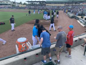 marlins spring training